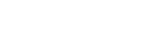 dairmex-logo